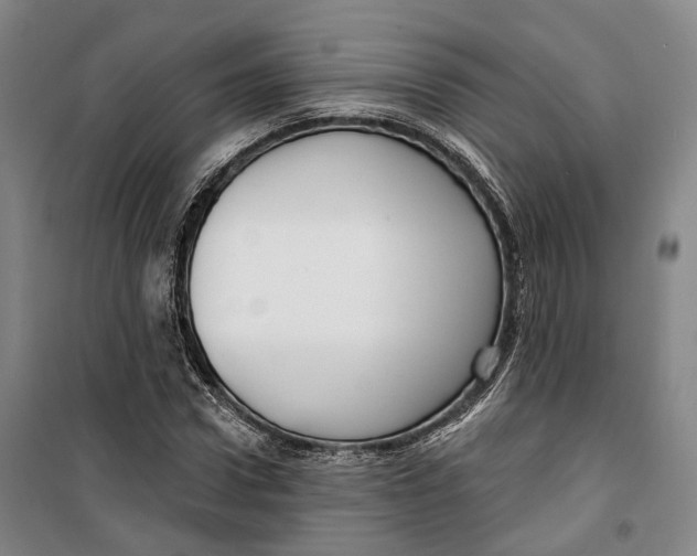 X0000099580922200806061623