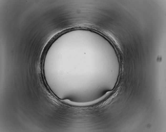 X0000099580924200806061623