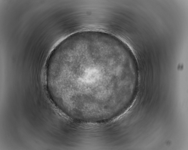 X0000099580925200806061623