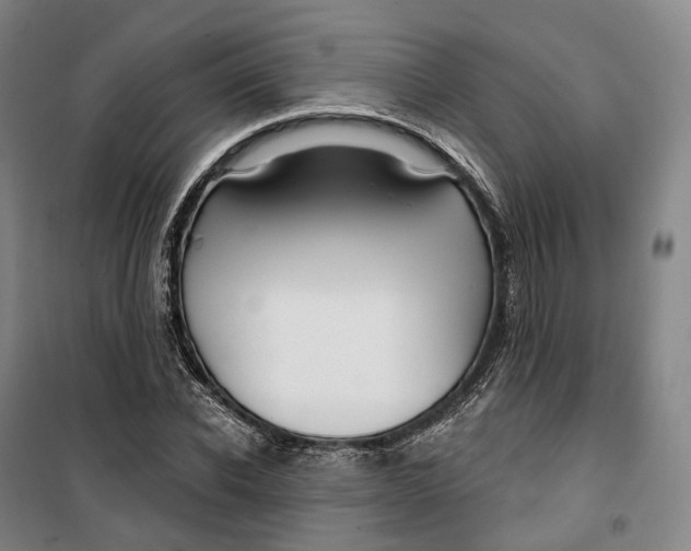 X0000099580926200806061623