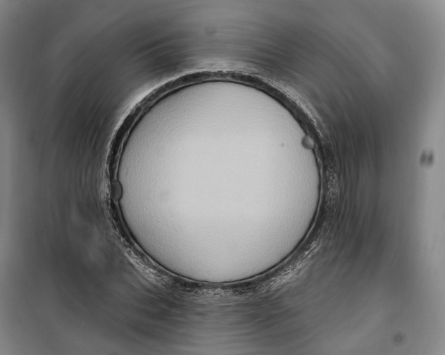 X0000099580927200806061623