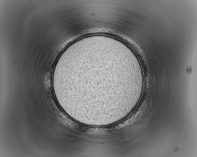 X0000099580929200806061623