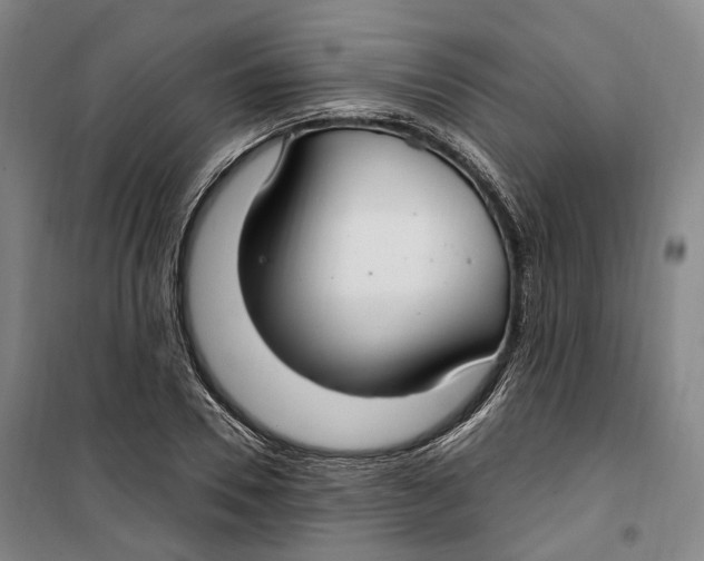 X0000099580930200806061623