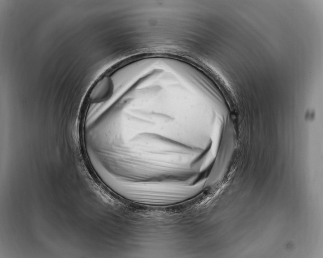 X0000099580932200806061623