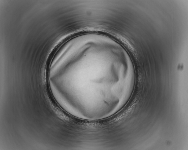 X0000099580934200806061623