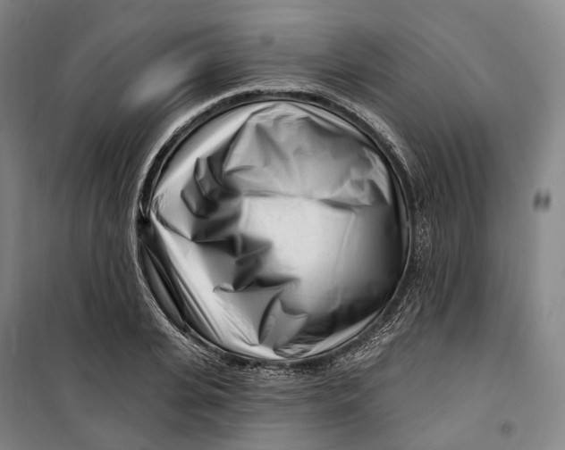 X0000099580935200806061623