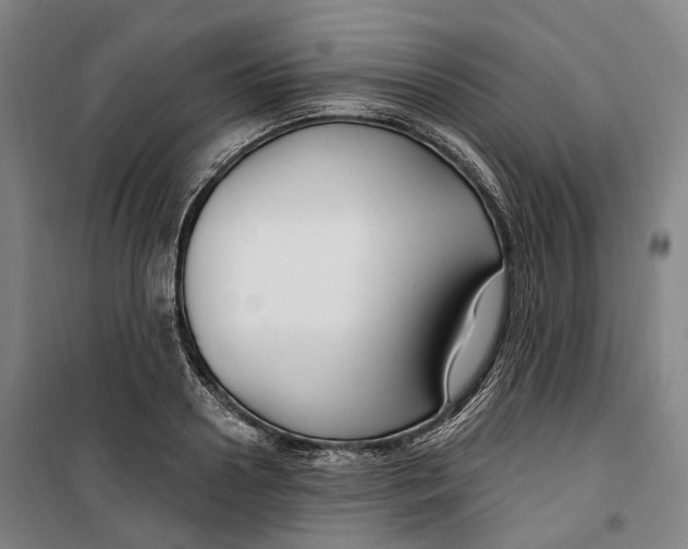 X0000099580938200806061623