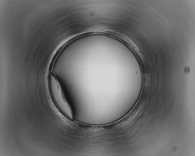 X0000099580939200806061623