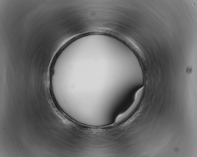 X0000099580940200806061623