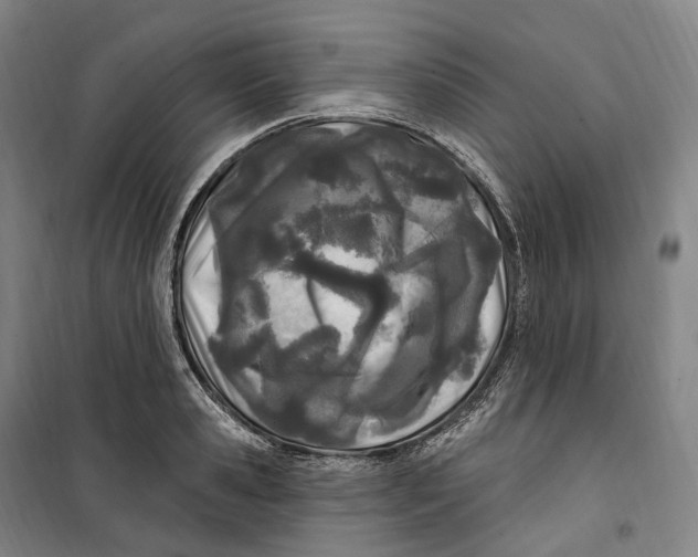 X0000099580941200806061623