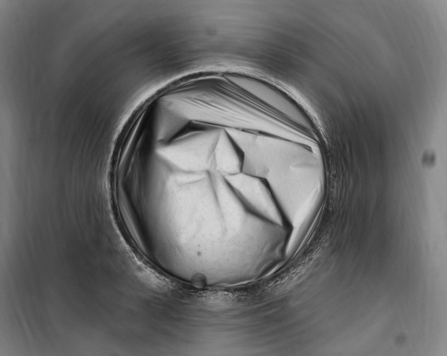 X0000099580943200806061623