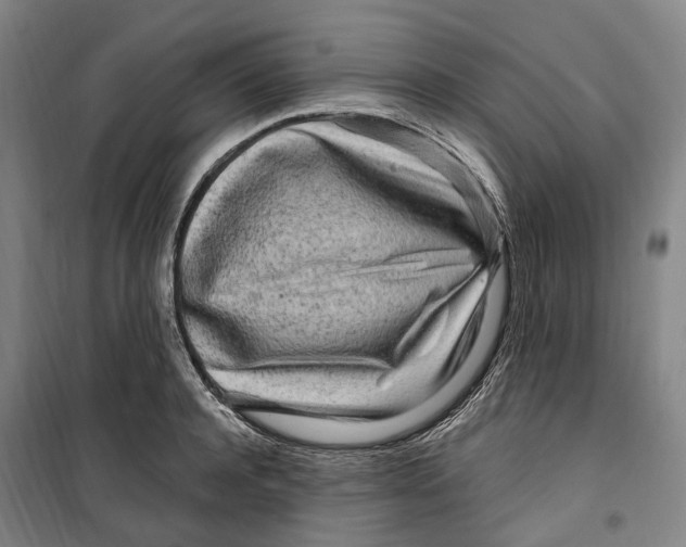 X0000099580944200806061623