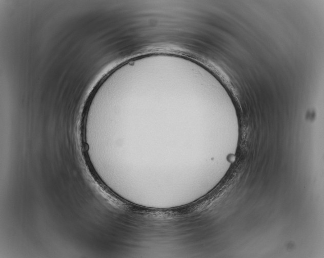 X0000099580947200806061623