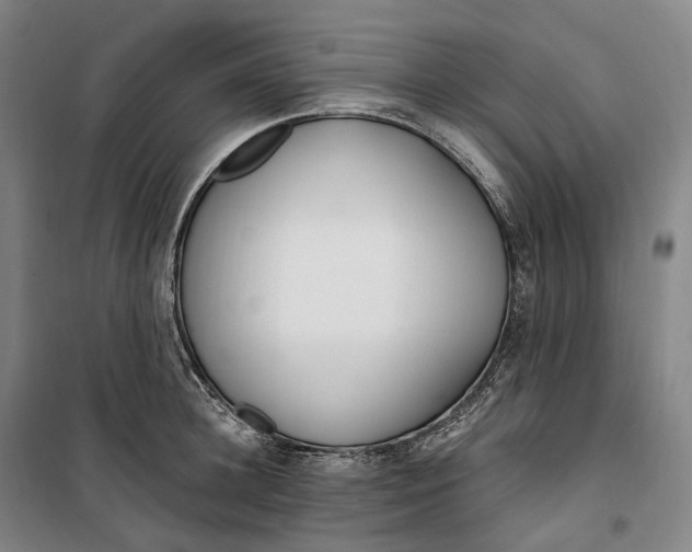 X0000099580948200806061624