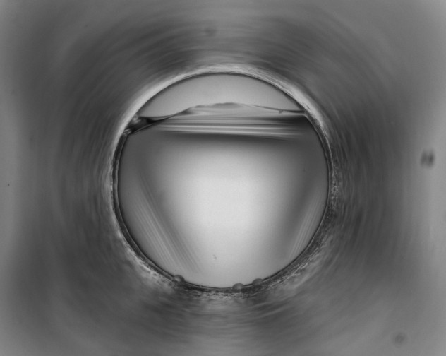 X0000099580951200806061624