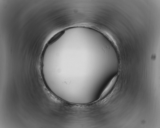 X0000099580952200806061624