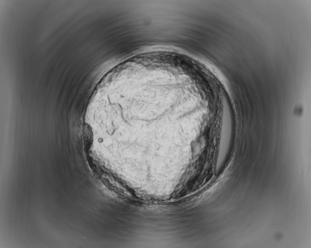 X0000099580953200806061624