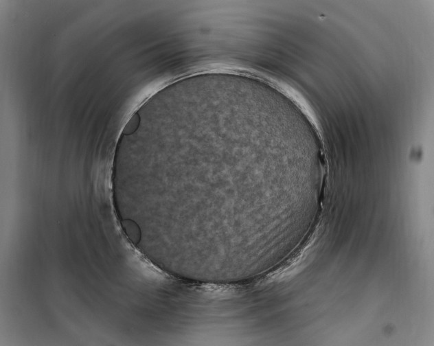 X0000099580954200806061624