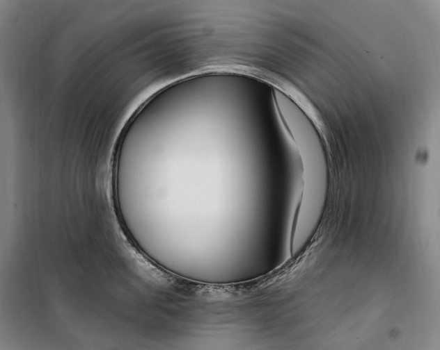 X0000099580955200806061624