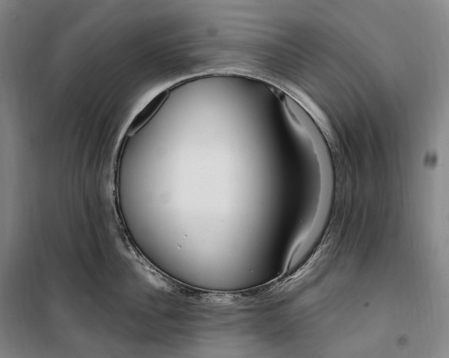 X0000099580956200806061624