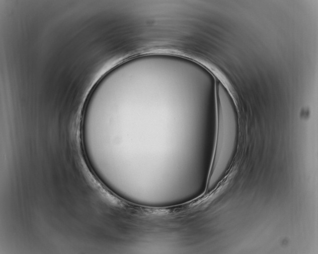 X0000099580957200806061624