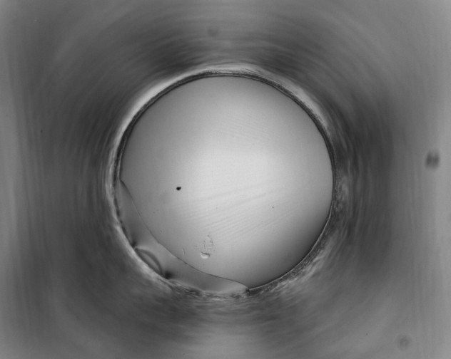 X0000099580959200806061624