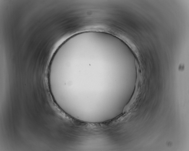 X0000099580960200806061624