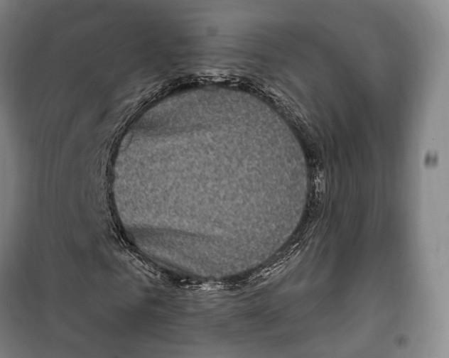 X0000099580961200806061623