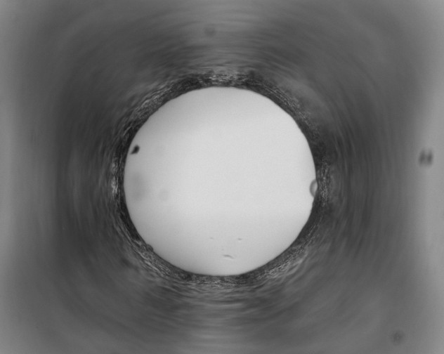 X0000099580962200806061623