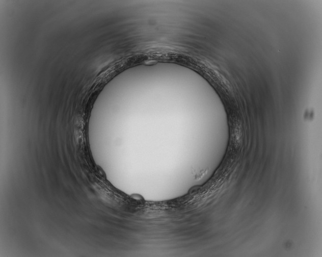 X0000099580964200806061623