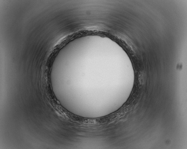 X0000099580968200806061623