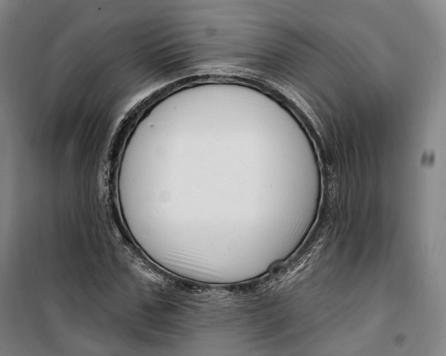 X0000099580971200806061623