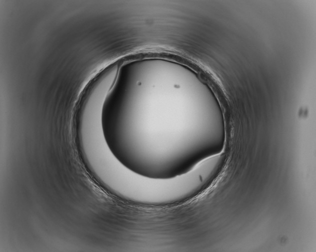 X0000099580973200806061623