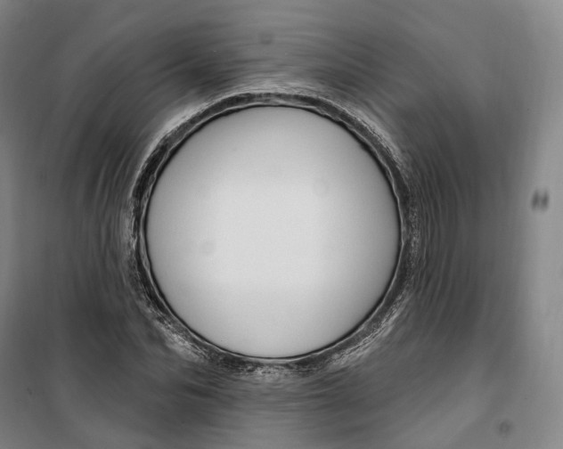 X0000099580974200806061623