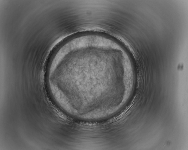 X0000099580975200806061623