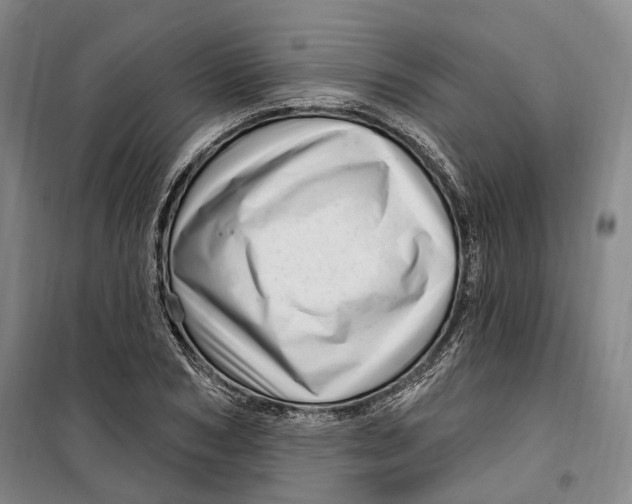 X0000099580978200806061623