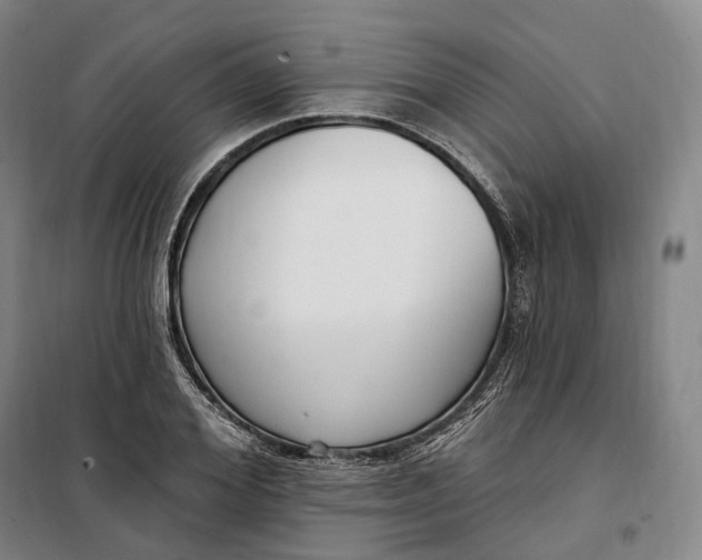 X0000099580980200806061623