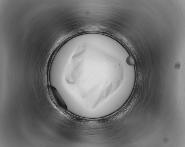 X0000099580986200806061623