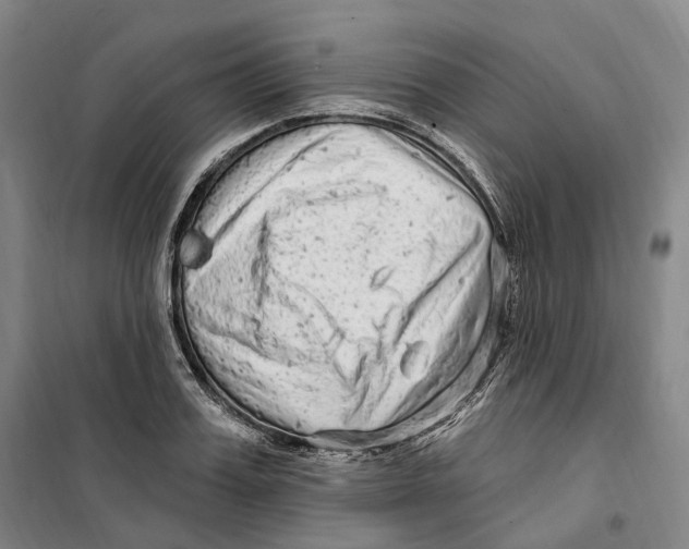 X0000099580987200806061623