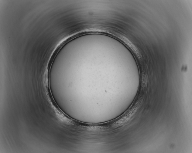 X0000099580988200806061623