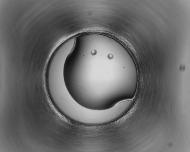 X0000099580989200806061623