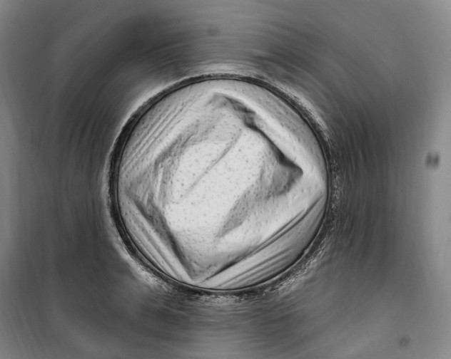 X0000099580991200806061623