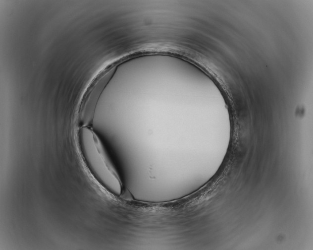 X0000099580992200806061623