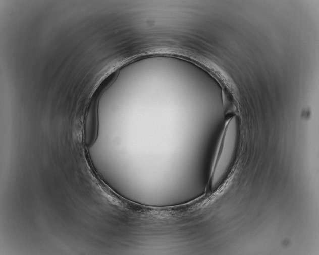 X0000099580993200806061622