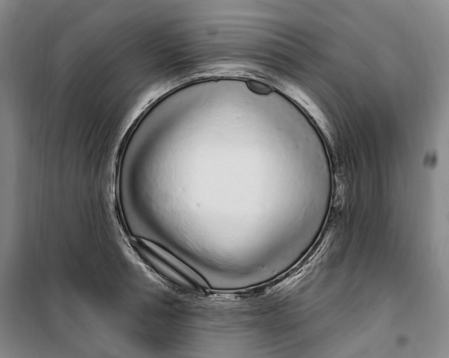 X0000099580994200806061622