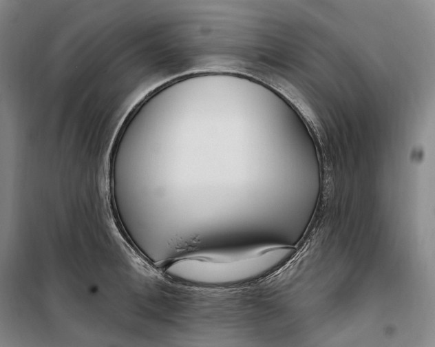 X0000099580996200806061622