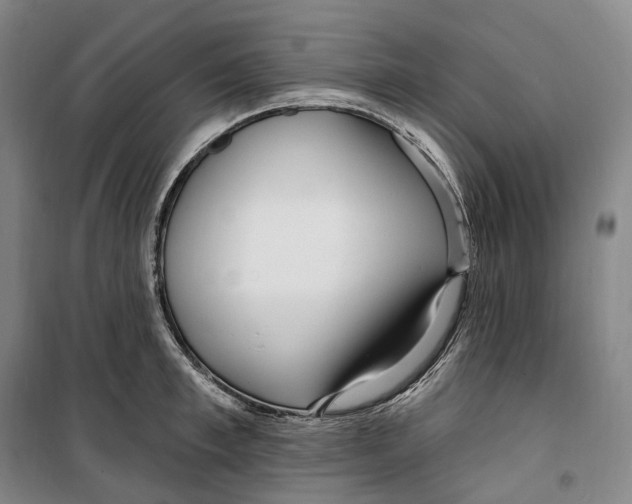 X0000099580997200806061622