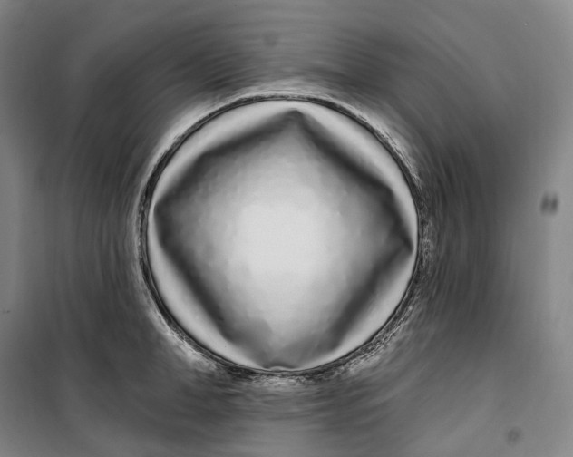 X0000099580998200806061622