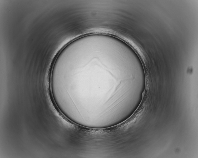 X0000099580999200806061622