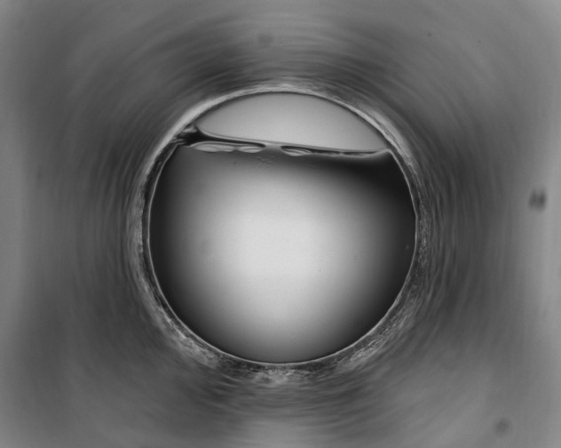 X0000099581000200806061622